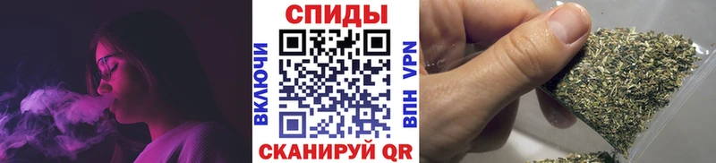 хочу omg ссылки Бутират BDO Могоча