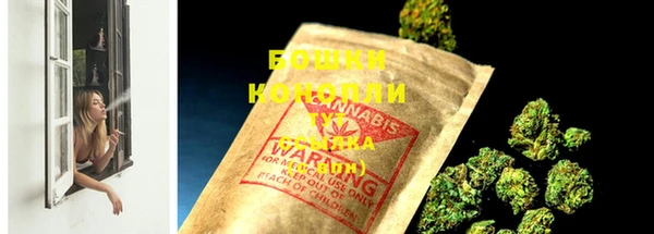 экстази Богданович