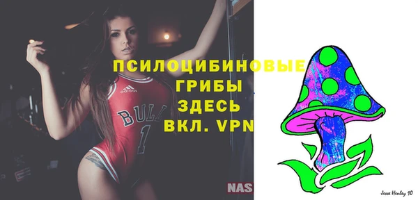 экстази Богданович
