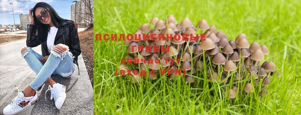 трава Белоозёрский