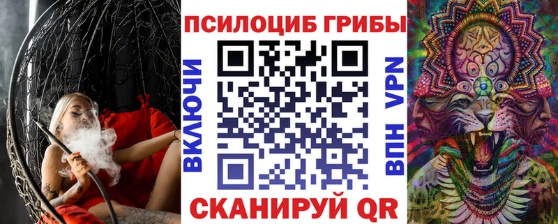 Галлюциногенные грибы Psilocybine cubensis  наркотики  Могоча 